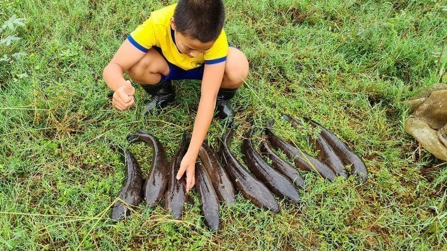 'CÂU 1 ĐÀN CÁ @HOA BAN CAMP'