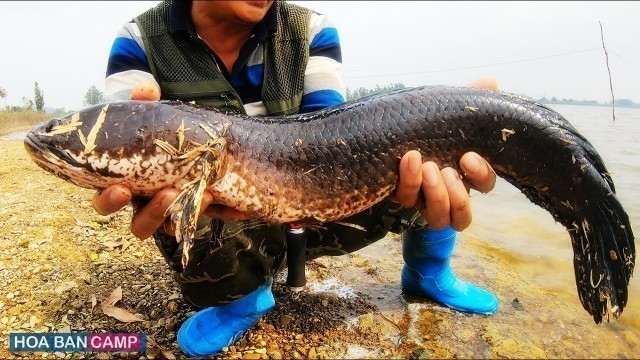 'CON CÁ TO NHẤT • Thi Câu Lure • P3 @HOA BAN CAMP'