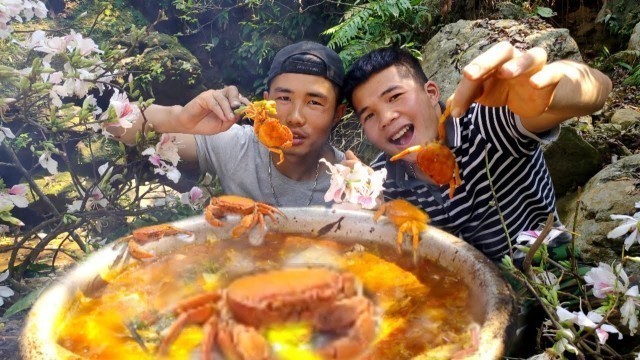 'HOA BAN FOOD. Một Ngày Trong Rừng Cùng Với Món Lẩu Cua Hoa Ban | Duy Thao'