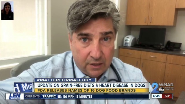 'Dog with heart disease showing improvements after switching from grain-free diet'