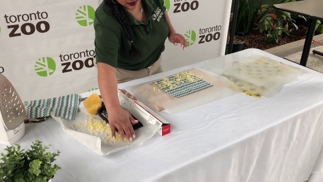 'Toronto Zoo Green Hacks ♻ Make Your Own Beeswax Wrap'