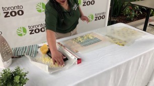 'Toronto Zoo Green Hacks ♻ Make Your Own Beeswax Wrap'