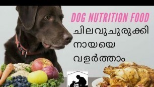 'Dog Food Malayalam : dog diet plan malayalam'