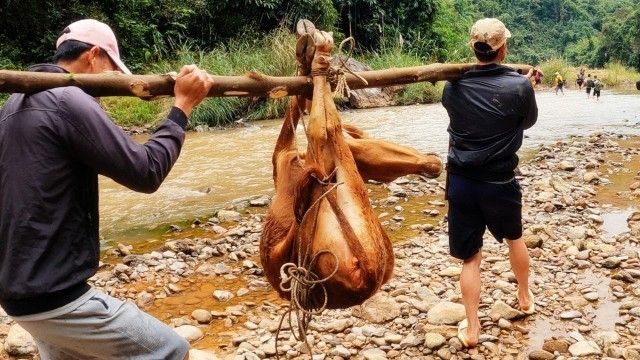 'ĂN TẾT TRONG RỪNG • Tập 1'