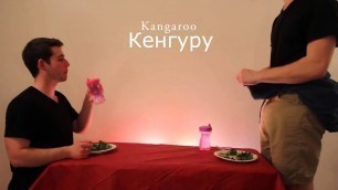 'How Animals Eat Their Food  Как животные едят свою пищу'