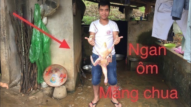 'Hoa ban food Ngày nghỉ làm món Thịt ngan nấu măng chua rừng cực ngon /Đvđ-vlog'