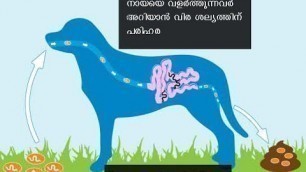 'Deworming for dogs Malayalam - Schedule - | അറിയേണ്ടതെല്ലാം'