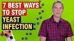 'Itchy Dog Yeast Infection (5 ESSENTIAL Steps to Stop It)'