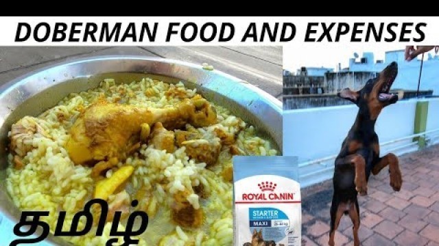 'DOBERMAN Food And Expenses | MONTHLY | TAMIL'