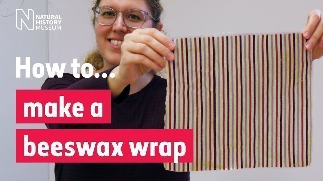 'How to make a beeswax wrap. A plastic free alternative to cling film | Natural History Museum'