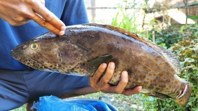 'CƠM CHIỀU Ở BẢN'