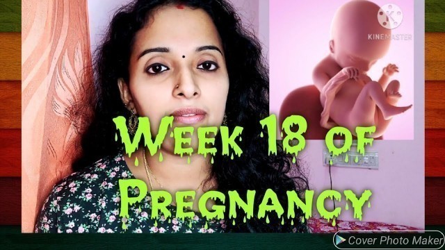 'Week 18 of Pregnancy malayalam...Healthy diet plan..Baby development'