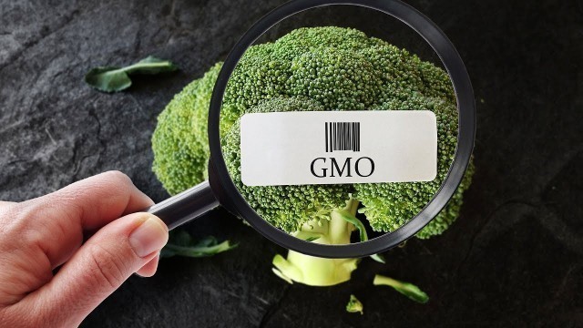 'What Will Happen After We Have GMO, or BE, Food Labels?'