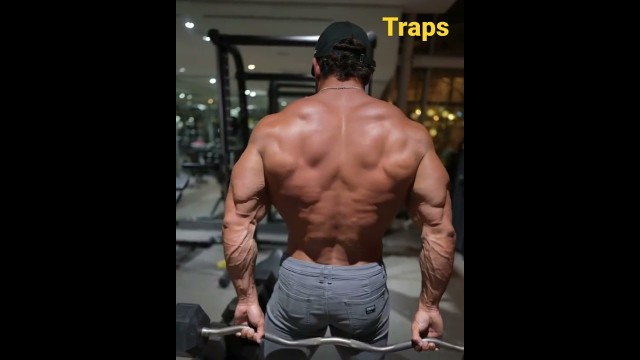 '❣️ traps workout ❣️ #shorts #fitness #junction'