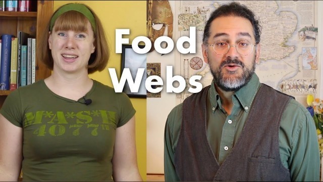 'Why is a Food Web better than a Food Chain? | The Great Knowledge Swap ft. @Alliterative'