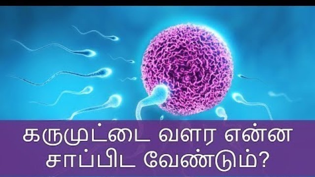 'கருமுட்டை வளர என்ன சாப்பிட வேண்டும் | கருமுட்டை வளர்ச்சி அடைய உதவும் உணவுகள்'