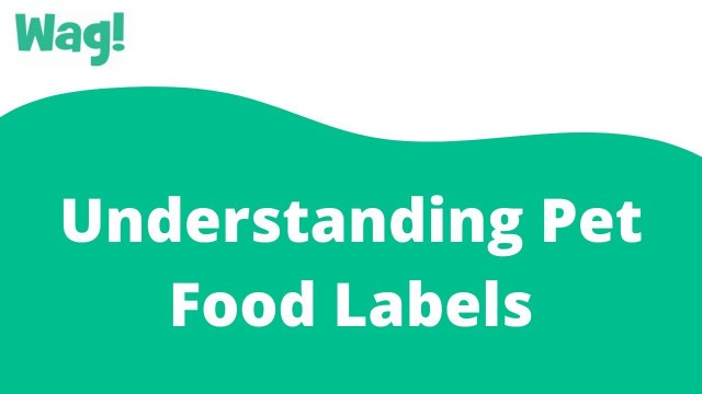 'Understanding Pet Food Labels | Wag!'