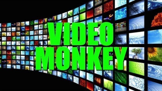 'Getting Rid Of Spoiled Food [VIDEO MONKEY] 2019'