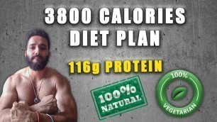 '3800 CALORIES PURE VEG HARDGAINER BULKING PLAN | GAIN 12 KGS in 3 MONTHS | 116g Natural Protein'