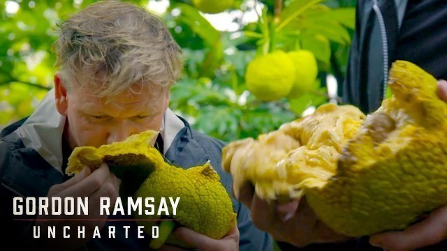 'Gordon Ramsay Is Blown Away By Breadfruit | Gordon Ramsay: Uncharted'