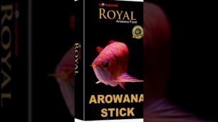 'food for arowana fish #short #top# 3# food# for #arowana# fish#'