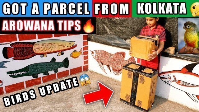 '*NEW* PARCEL UNBOXING | BEST DRY FOOD | AROWANA JUMPING, CONURE BOX | MONSTER POND AQUARIUM INDIA'