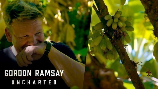 'Gordon Ramsay Tries Balimbing | Gordon Ramsay: Uncharted'