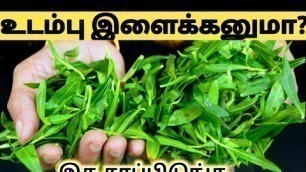 'எப்படி ஒல்லியானீங்க? என்று ஊரே கேட்கும் Weight Loss Food Recipes in Tamil/Weight Loss Roti in Tamil'