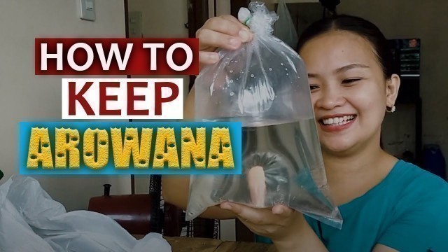 'AROWANA FISH CARE GUIDE'