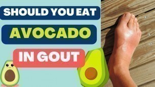 'Should you eat AVOCADO in GOUT? | doctorsays'