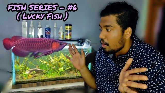 'AROWANA CARE GUIDE | IN TELUGU | AQUAFACTS |'