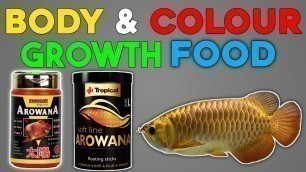 'BEST FOOD AROWANA FISH IN ( HINDI )'