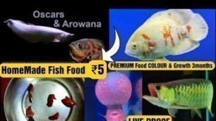 'How to make Homemade Fish Food ₹5 | BEST FOOD Oscar, Flowerhorn, Arowana, | Aquarium Fish Food Home,'