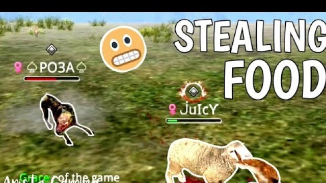 'WILD ANIMALS ONLINE: STEALING PLAYERS\' FOOD'