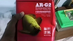 'Feeding Arowana With Ocean Free (OF) AR-G2 Pellet'