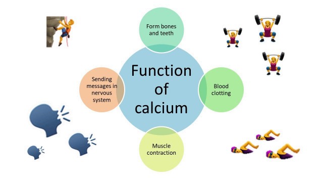 'F4 Biology Nutrition (Part 2) Protective Food Substances'