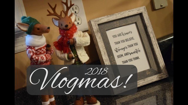 'Vlogmas | Guinea Pigs Stealing Food | Dec 8, 2018'