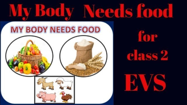 'Class-2 EVS || Lesson -3 My Body  Needs  food||'