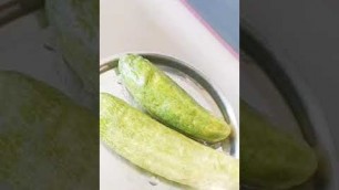 'Vegetable Processing cucumber fermentation'