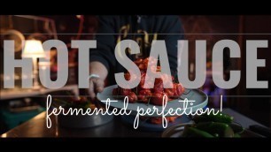 'How to make Hot Sauce (fermentation made easy)'