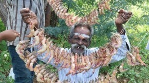 'PRAWN RAIN / ARUMUGAM'