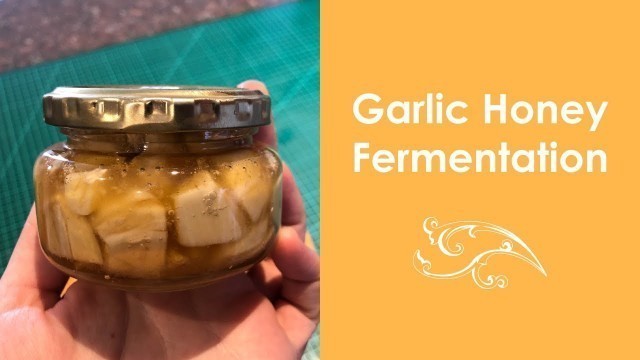 'Honey and garlic fermentation: Quick fermentation process tutorial of garlic honey [Fermented foods]'