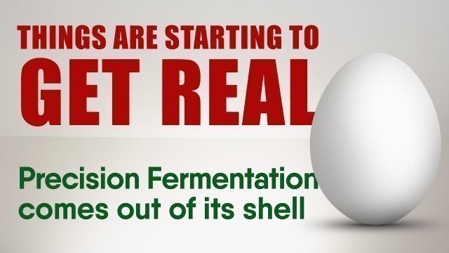 'Precision Fermentation: Things are Starting to Get Real!'