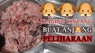 'Cara Membuat Pakan Anjing Dengan Bahan Kepala Ayam'