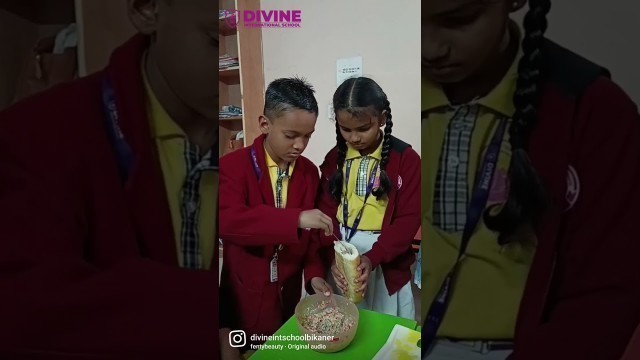 'Virtual Kitchen || Fireless cooking competition | Divine International School | Bikaner #bestschool'