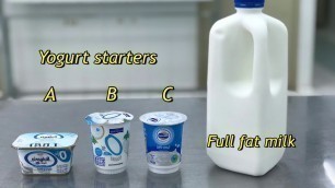 'Fermentation of yogurt'