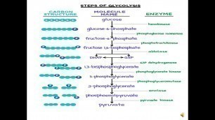 'Food Fermentation/Food Safety Officier/Kerala PSC/FSO/Alcoholic/Lactic acid fermentation'