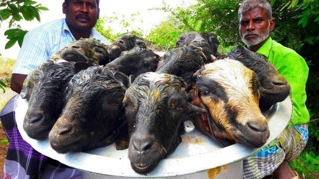 '10 Goat Heads Recipe/ Lamb Head Curry in my village -food fun village'