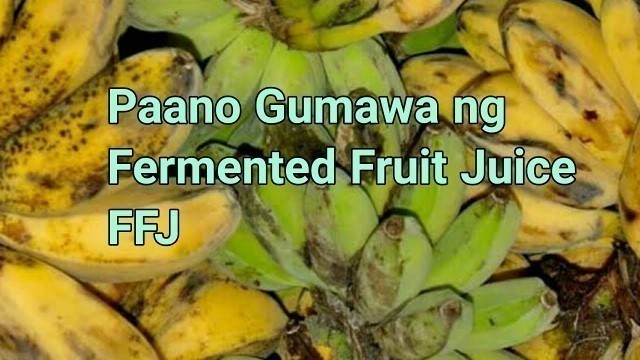 'Paano Gumawa ng Fermented Fruit Juice | DIY FFJ'