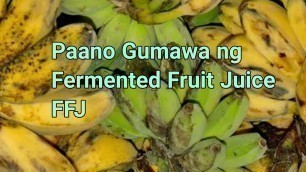 'Paano Gumawa ng Fermented Fruit Juice | DIY FFJ'